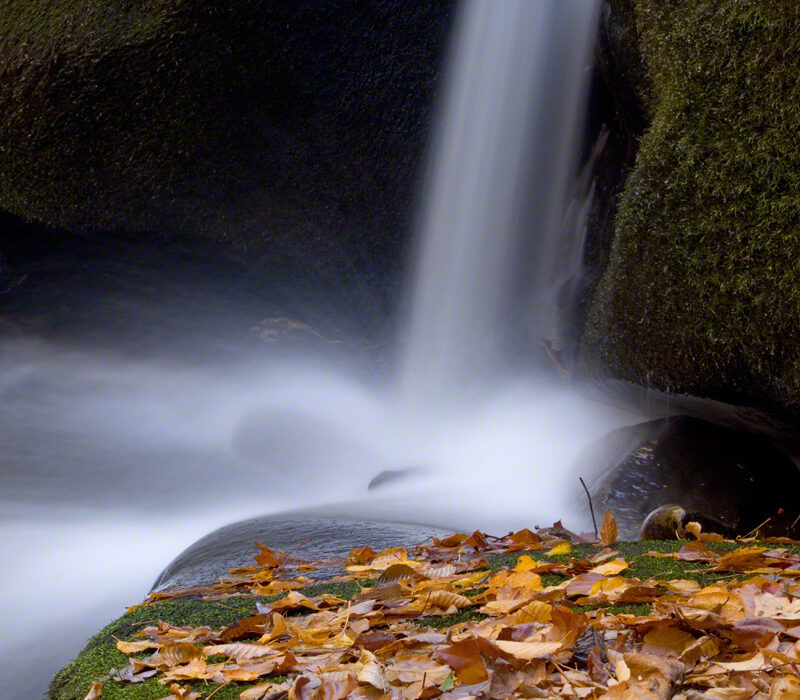 Waterfall and Autumn Leaves