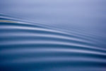 Ripples on the Water