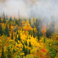 Big Cottonwood Fall Colors