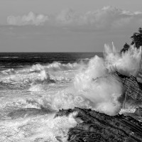 Crashing Waves at Shore Acres State Park, Oregon (Black and White)
