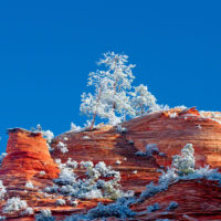 Snow in Zion