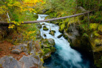 Fall Colors on the North Umpqua River, Oregon