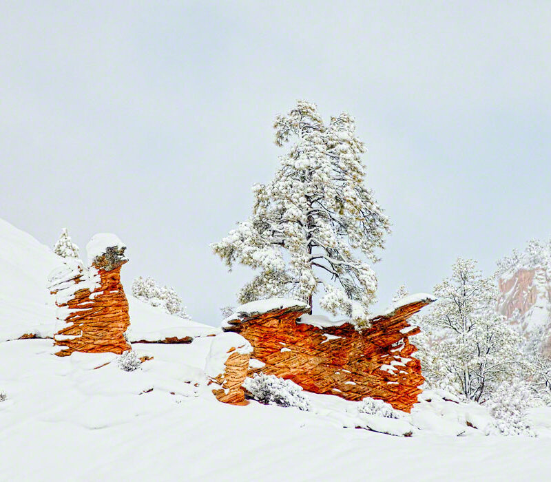 Snow in Zion National Park, Utah