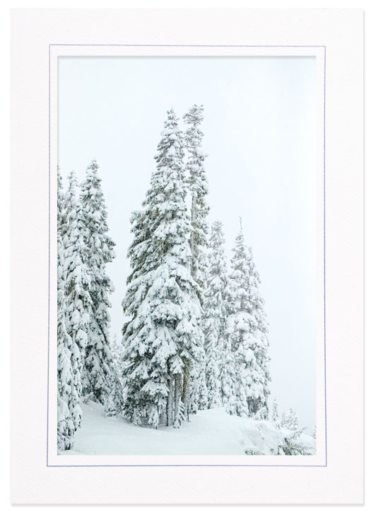 Winter in Mt Rainier Natl Park, Washington
