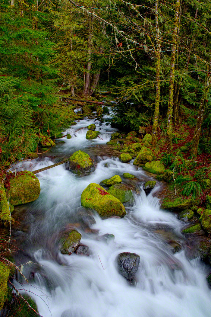 Copper Creek, Mt Rainier Natl Park, Washington