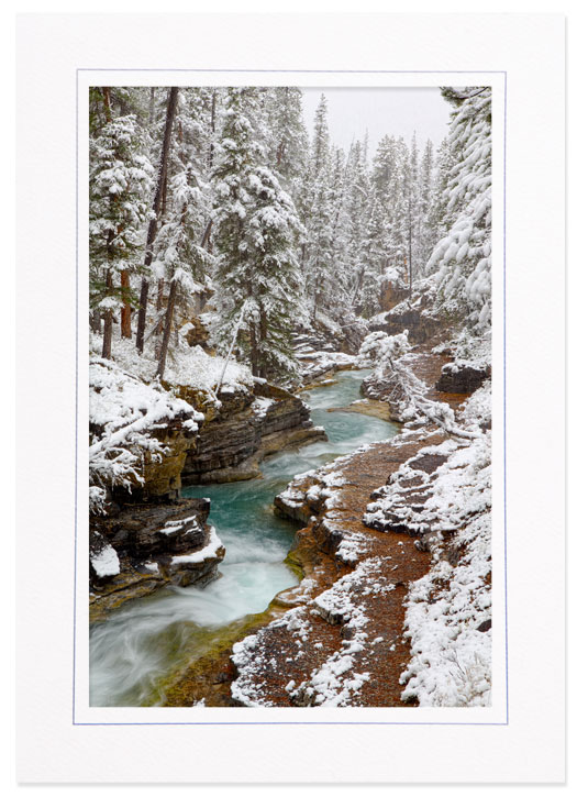 Snowing on Beauty Creek, Jasper Natl Park, Canada