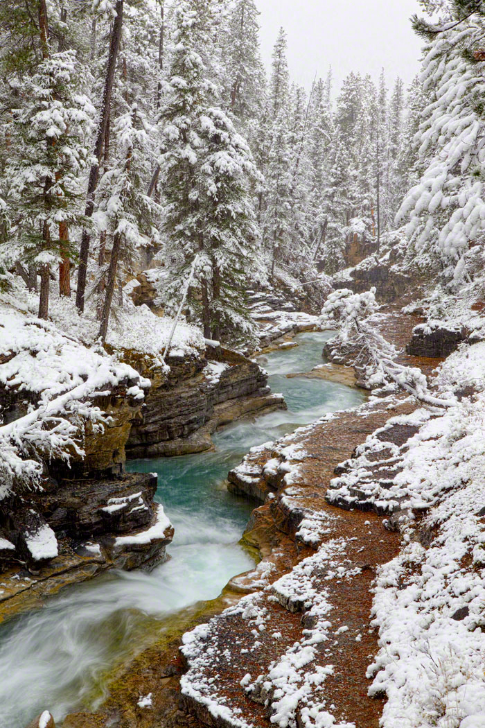 Snowing on Beauty Creek, Jasper Natl Park, Canada