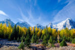 Fall Color in Larch Valley, Banff Natl Park, Canada Fall Color in Larch Valley, Banff Natl Park, Canada