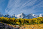 Fall Color in Larch Valley, Banff Natl Park, Canada Fall Color in Larch Valley, Banff Natl Park, Canada