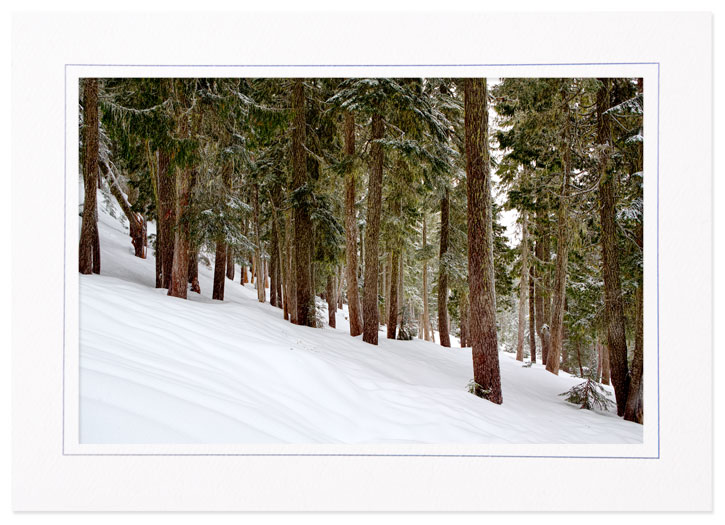 Snow @ Mt Rainier Natl Pk, Washington