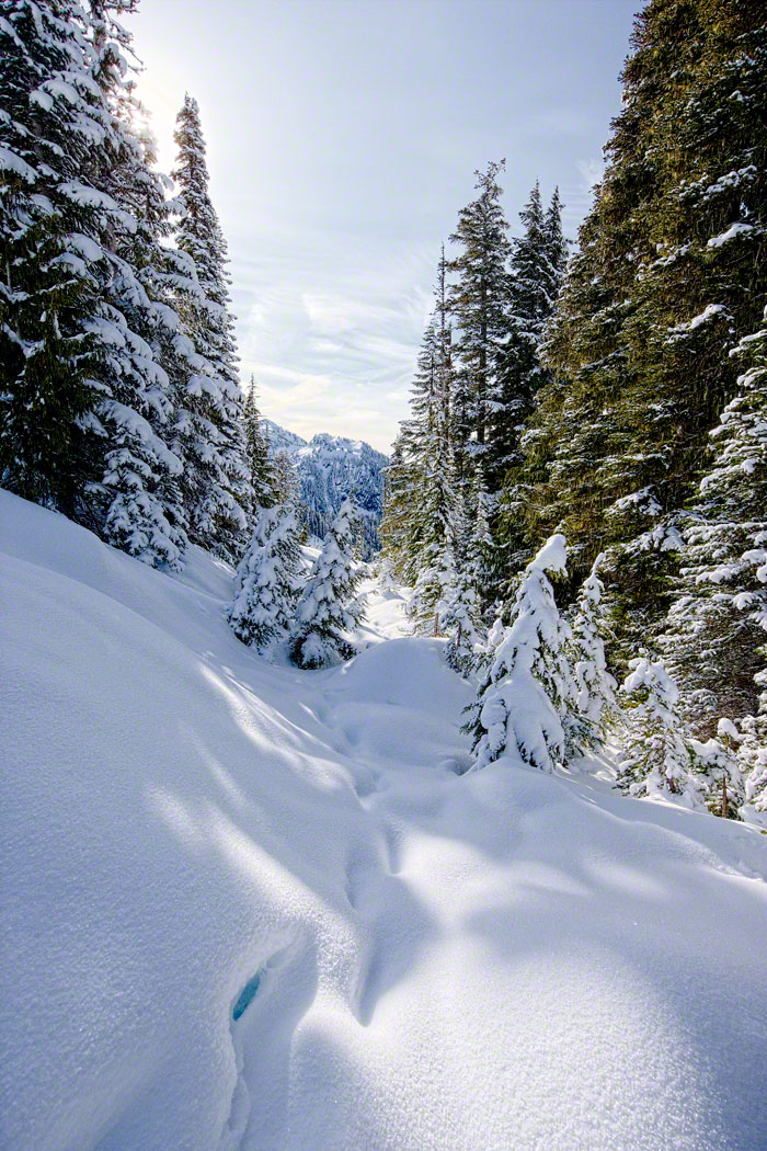 Snowshoeing  in the Winter Wonderland