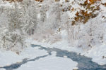 Snow on the Tieton River Snow on the Tieton River