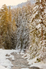 Snow on the American River Snow on the American River