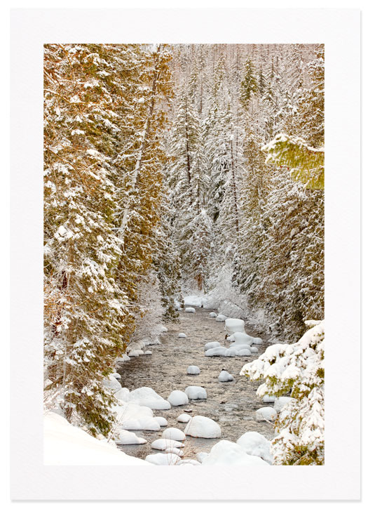 Snow on the American River, Hwy 410 East of Mt Rainier, Mt Rainier National Park, Washington.