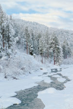 Snow on the Tieton River Snow on the Tieton River