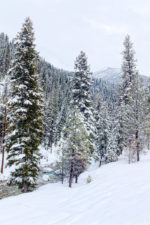 Snow on the Payette River Snow on the Payette River