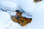 Snow on Little Cottonwood Creek Snow on Little Cottonwood Creek