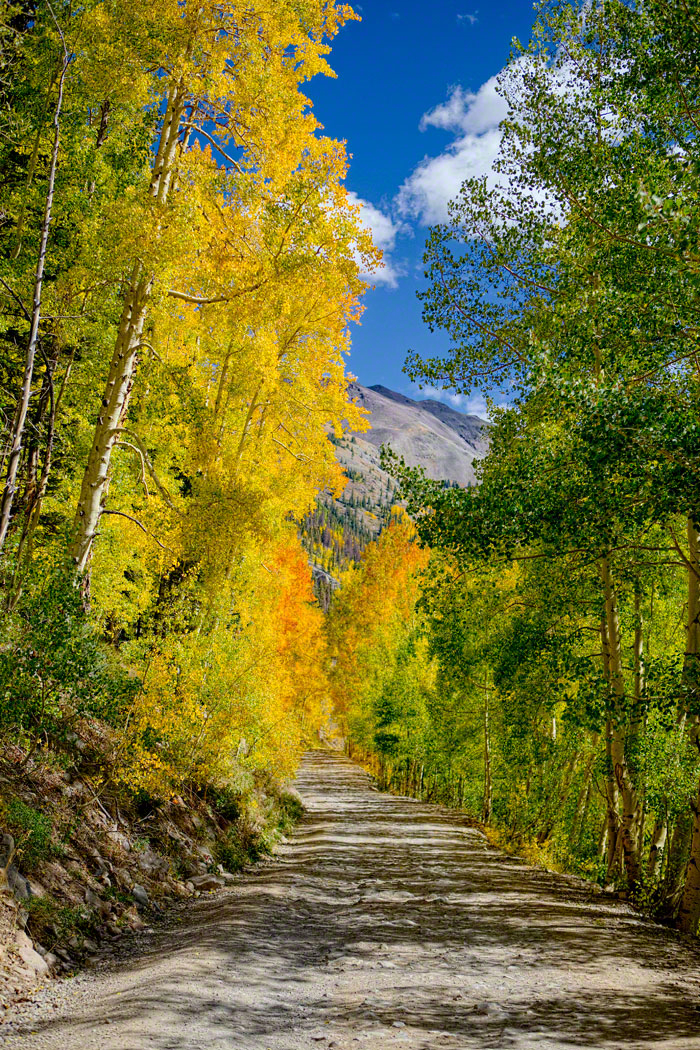 Colorado Fall Color