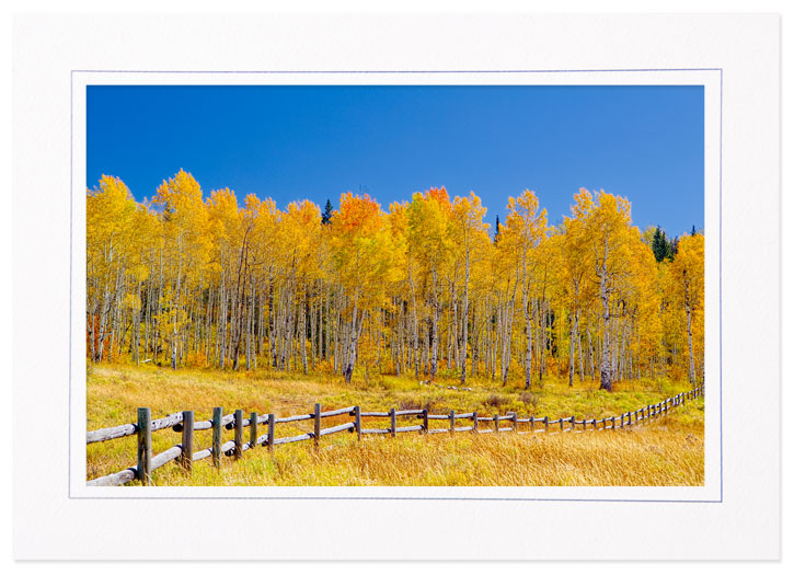 Fall Color on Colorado 17