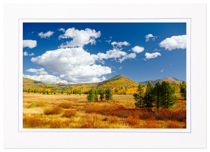 Fall Color on Colorado 129