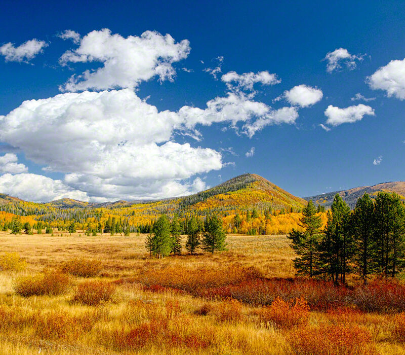 Fall Color on Colorado 129