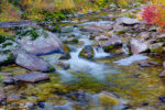 Fall color on Fish Creek