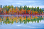 Reflections of Fall Color