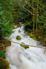Raging Waters of Copper Creek Raging Waters of Copper Creek