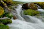 North Fork River, Washington North Fork River, Washington