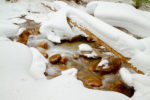 Snow on Little Cottonwood Creek Snow on Little Cottonwood Creek
