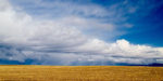 Snowstorm Rolling Into the Idaho Farmland Snowstorm Rolling Into the Idaho Farmland
