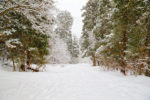 Snowshoeing in a Winter Wonderland Snowshoeing in a Winter Wonderland
