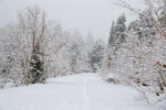 Snowshoeing in a Winter Wonderland Snowshoeing in a Winter Wonderland