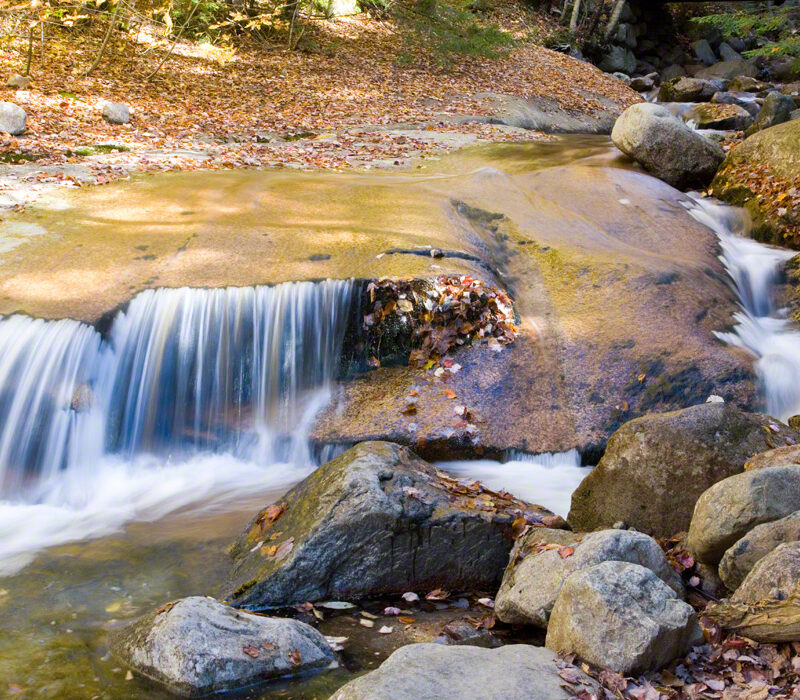 Stream and Fall Color