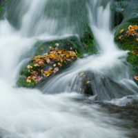 Lower Calf Creek Falls, Utah