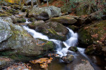 Falls on Lynn Camp Prong, Little River