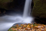 Waterfall and Autumn Leaves