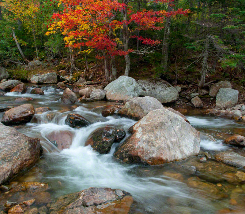 Ellis River in Autumn