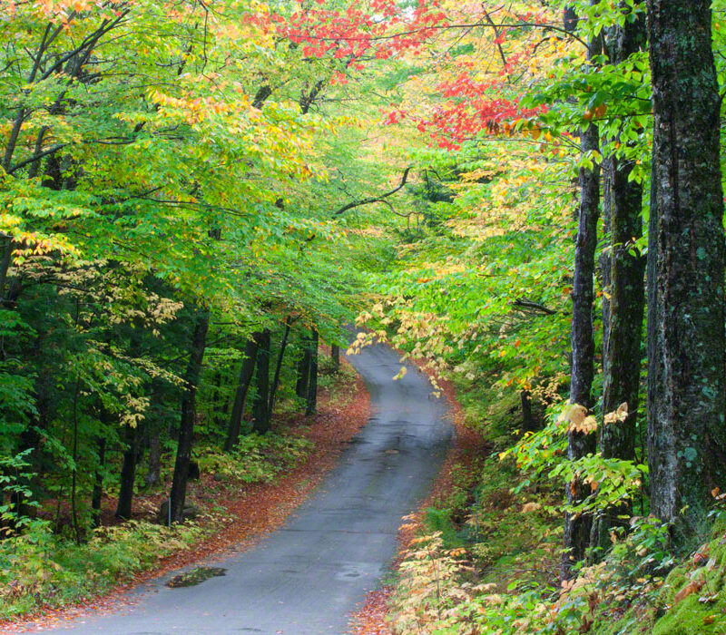 Forest Drive, New Hampshire