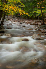 Lucy Brook, New Hampshire