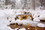 Little Cottonwood Creek in the Snow