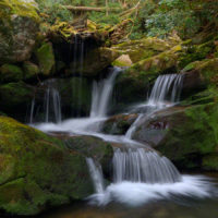 Roaring Fork Creek