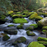 Rocky Gorge, New Hampshire