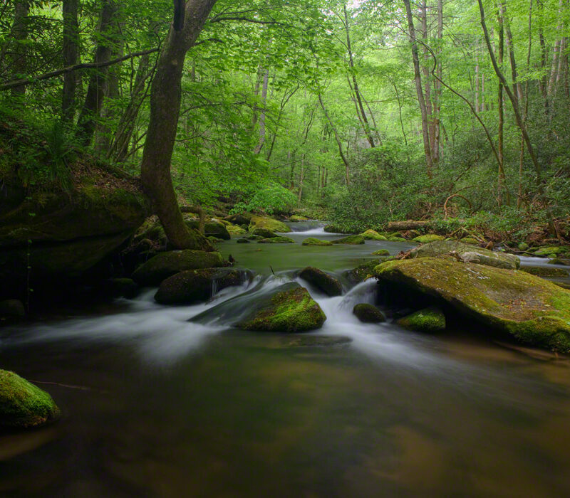 Twenty Mile Creek