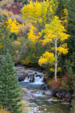 Fall Colors on Crystal River