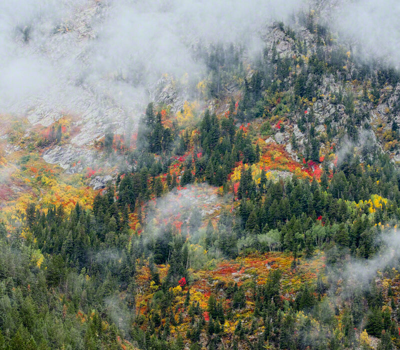 Little Cottonwood Colors