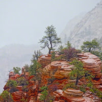 Colors of Zion