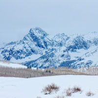 Snow on the Dallas Divide