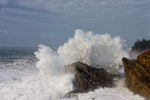 Crashing Wave at Shore Acres