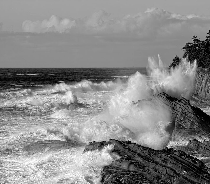 Crashing Waves at Shore Acres State Park, Oregon (Black and White) 